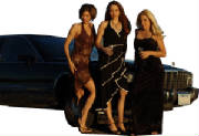 webassets/limo2.JPG