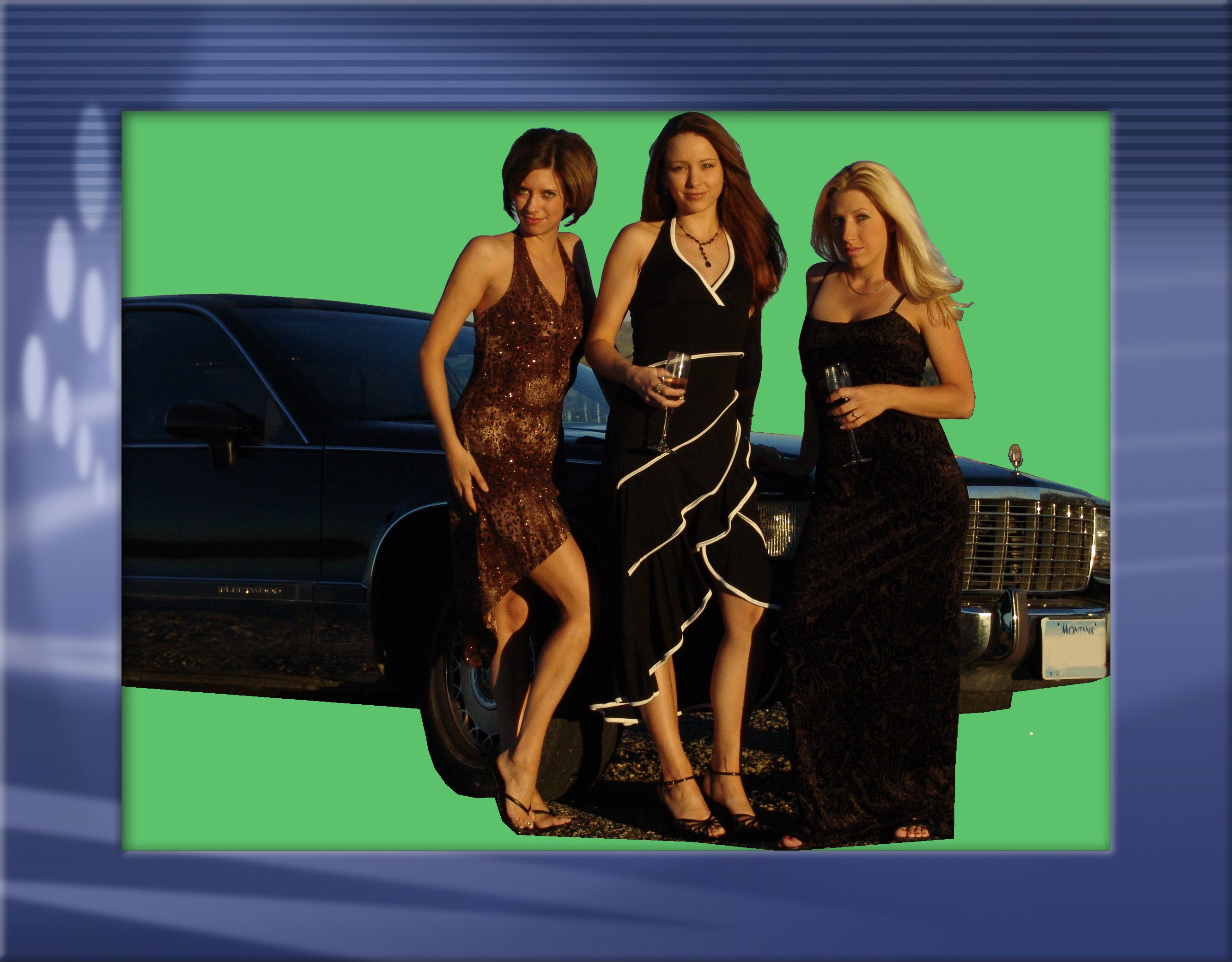 webassets/limo3.JPG